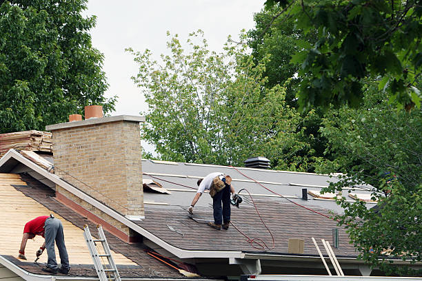 Best Roof Moss and Algae Removal  in Mcclure, PA